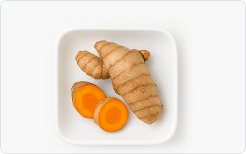 Turmeric (Curcuma longa)